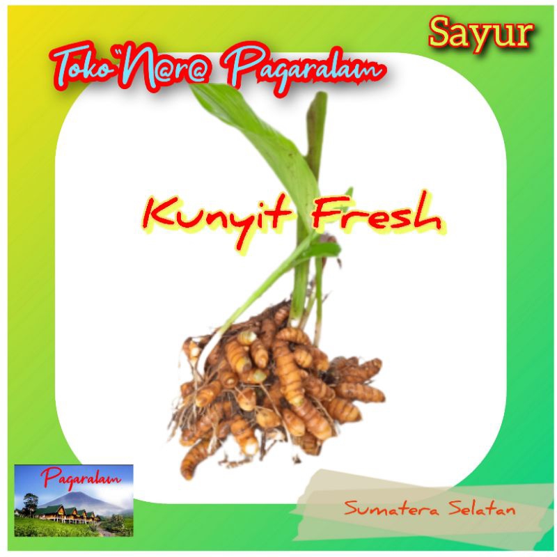

kunyit fresh murah (250 gr) , bumbu masak, rempah- rempah