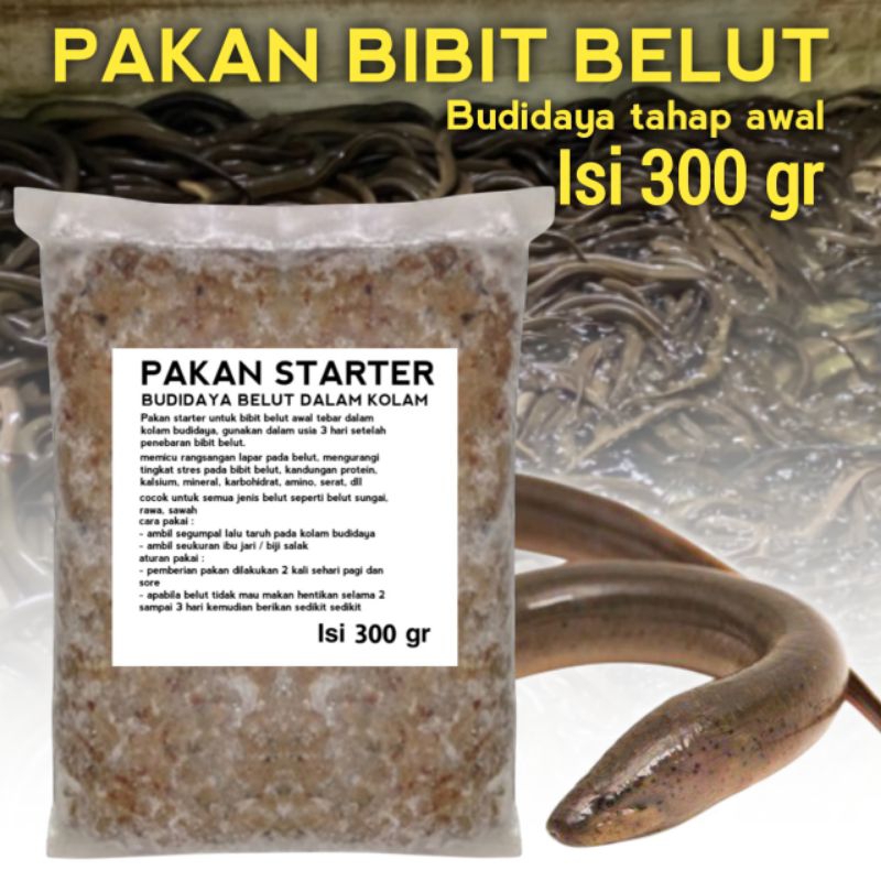 pakan bibit belut ternak