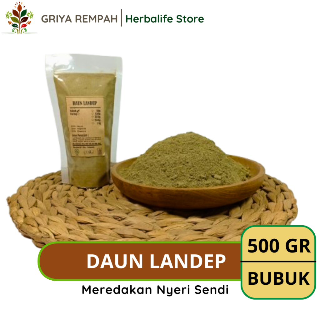 

DAUN LANDEP BUBUK 500 GRAM Landhep Rempah Herbal Simplisia Alami untuk Kesehatan & Ramuan Kering Jamu Tradisional Barleria prionitis L Madu Jarong