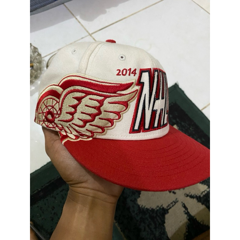 topi redwing nhl blokhead