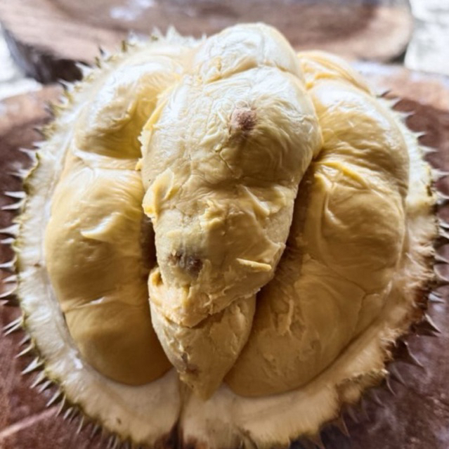 

Durian Matahari