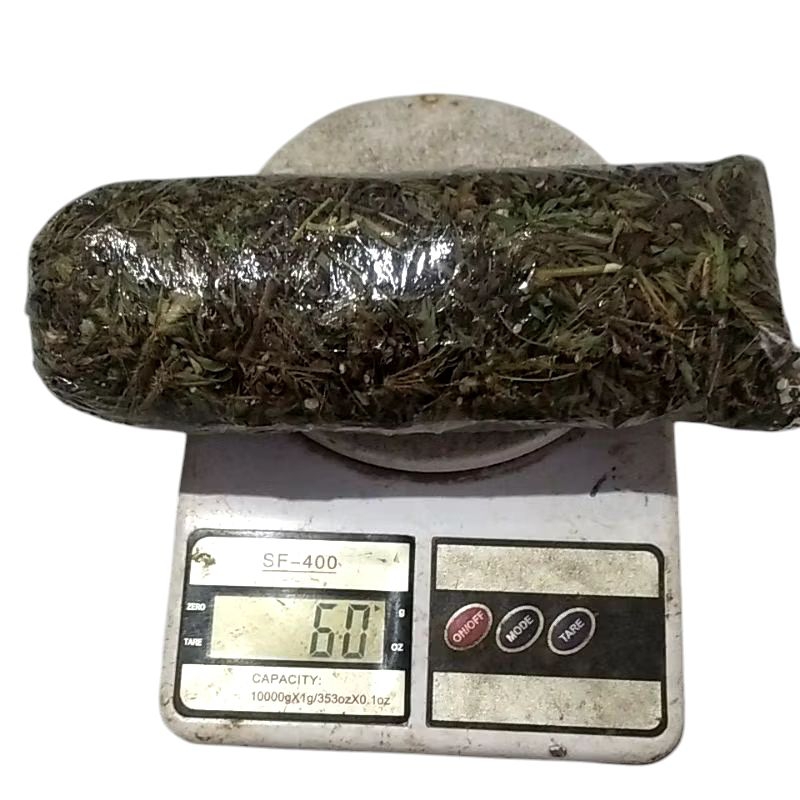 

Daun Putri Malu