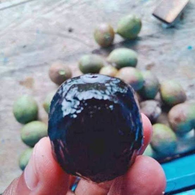 

muncang lokal adu khas legok mandaw per 1kg