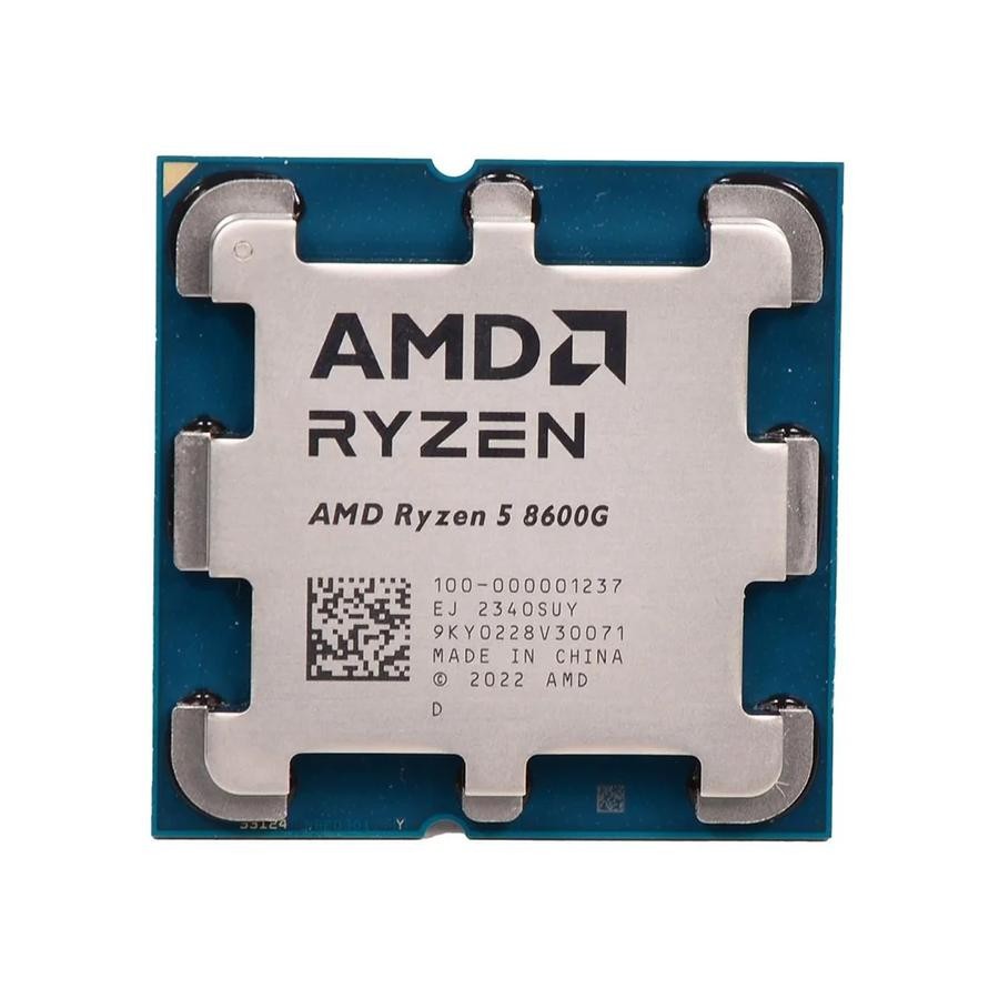 PROCESSOR AMD RYZEN 5 8600G [TRAY]