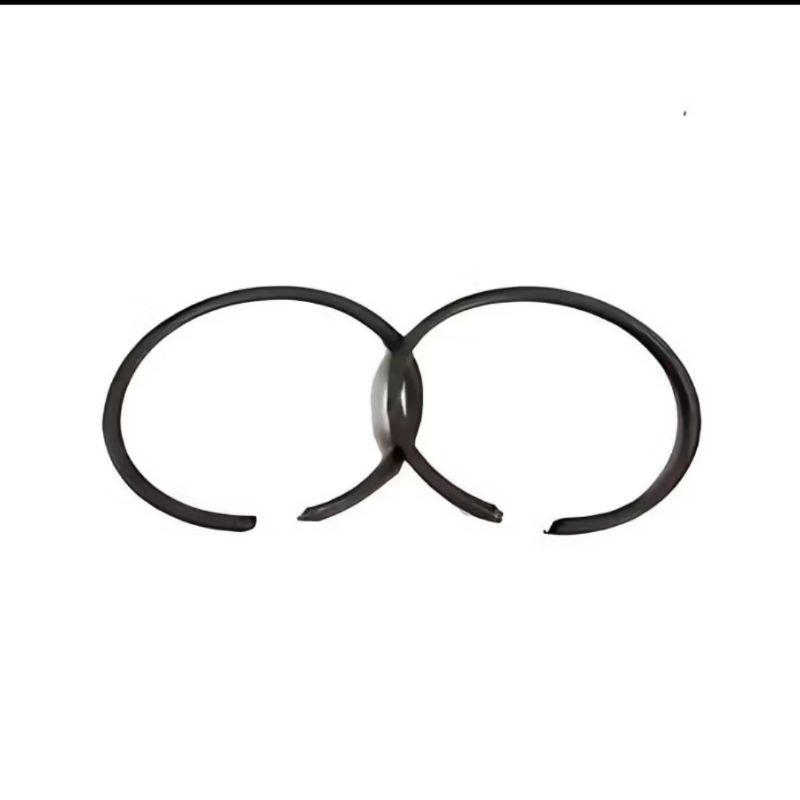 Ring Piston Ring Seher GX 480