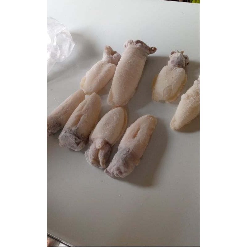 

sotong frozen