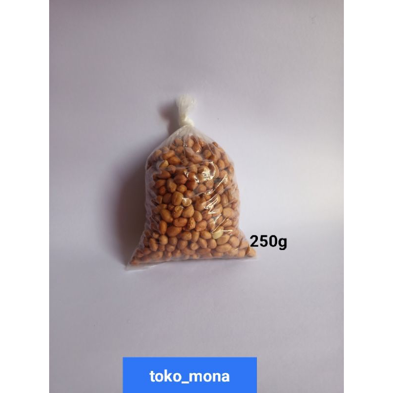 

KACANG TANAH KACANG CINA