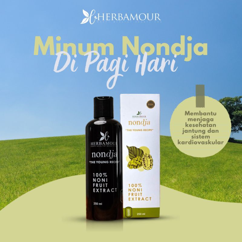 

Nondja By Herbamour || Sari Buah Noni Mengkudu