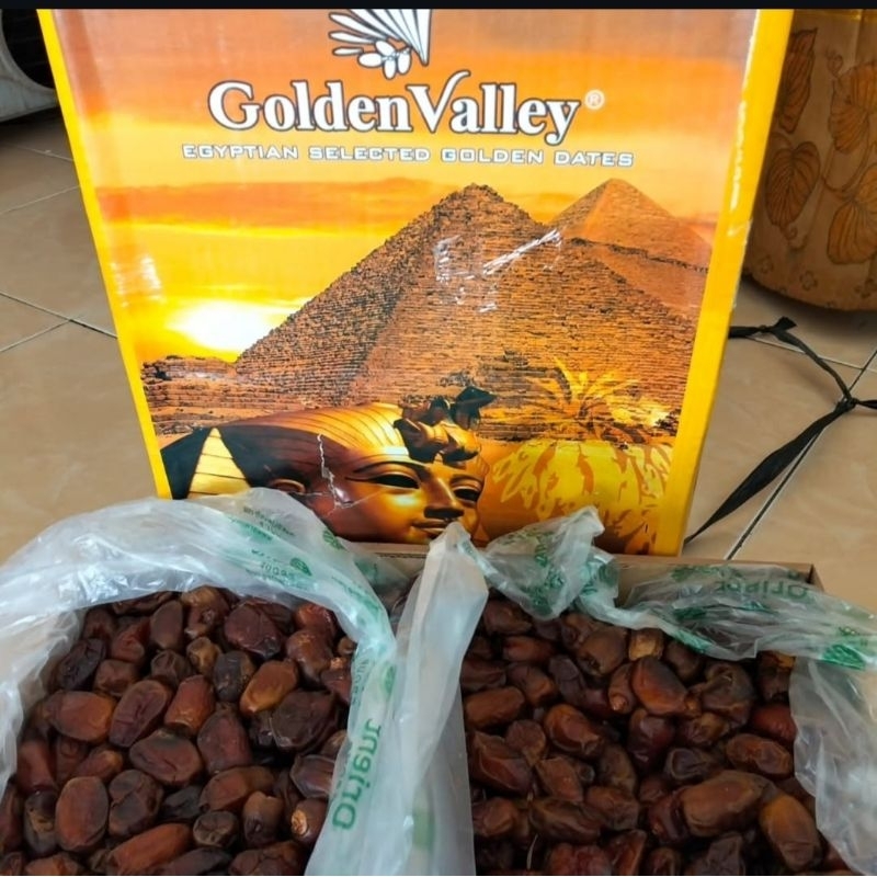 

KURMA GOLDEN VALLEY KURMA MESIR KURMA ASLI MESIR KURMA ARAB KEMASAN KARTON 10KG HARGA GROSIR KURMA MURAH