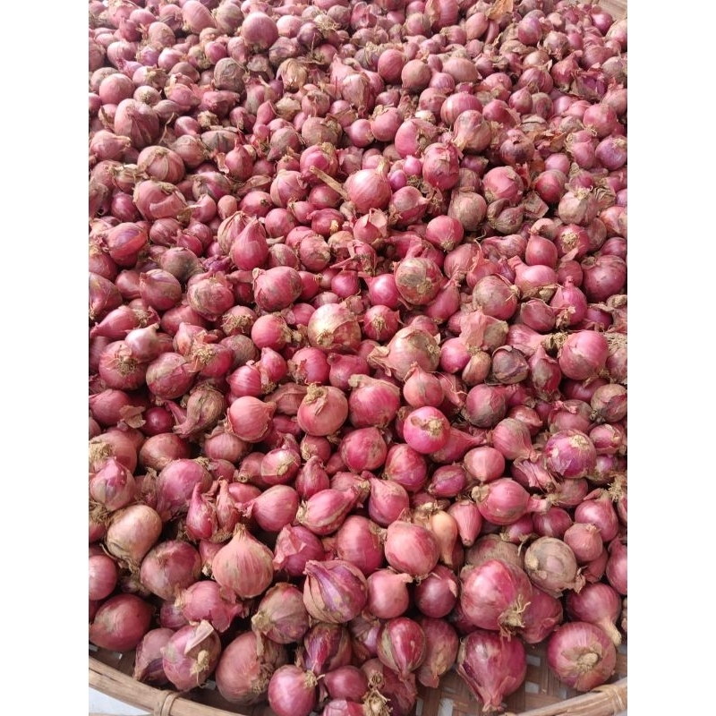 

Bawang Merah Garut