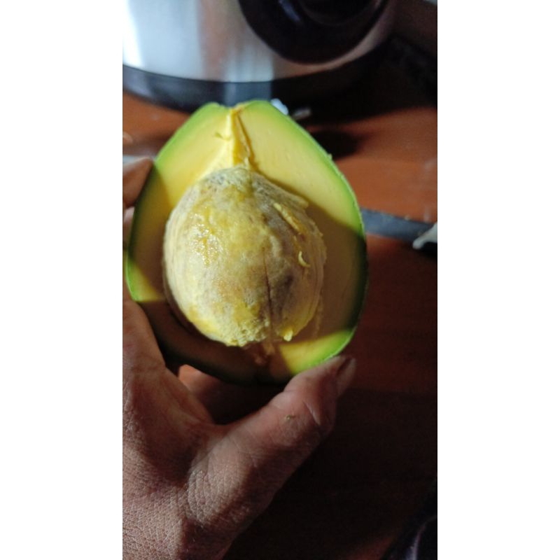 

Alpukat Mentega Muria Fresh 1kg isi 4,5,6