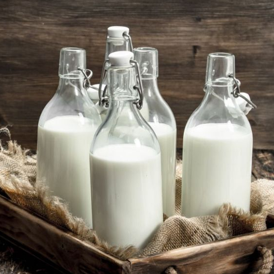 

Susu kambing murni fresh