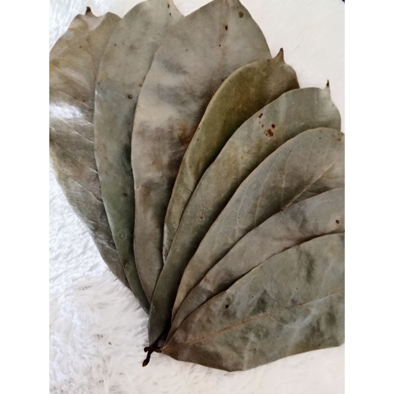 

Daun sirsak kering organik bersih isi 150 lembar