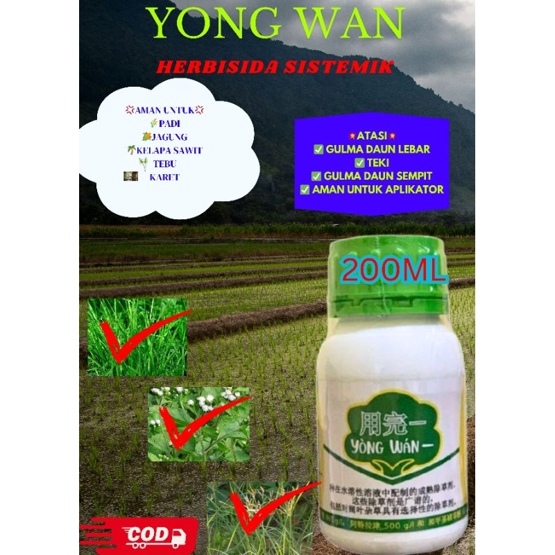 Yongwan Herbisida Sistemik Selektif Untuk Rumput Pra Tumbuh & Pasca Tumbuh
