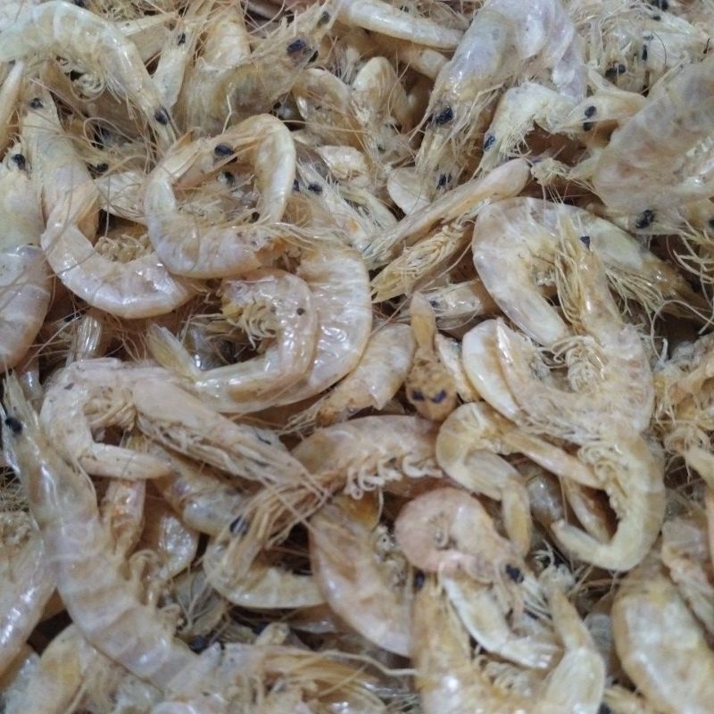 

ikanasASINUDANG