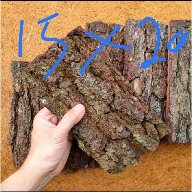 Kulit kayu pinus.beckgroun vivarium.rumah hiyasan/media tanam angrek