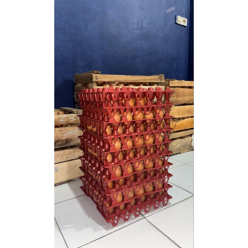 

Telur Ayam Negeri 15kg