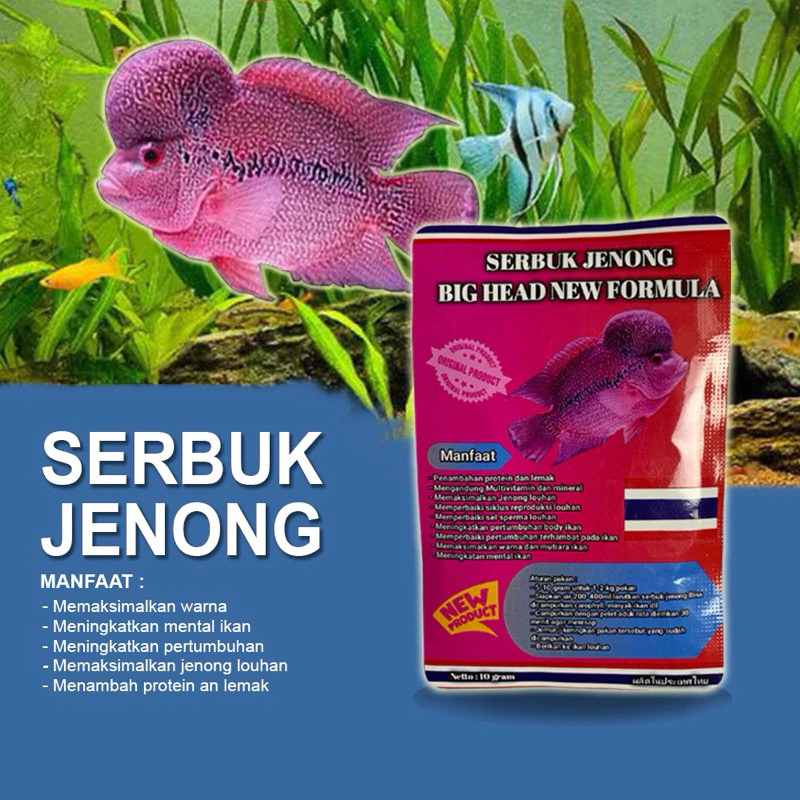 Serbuk jenong ikan louhan serbuk Thailand louhan