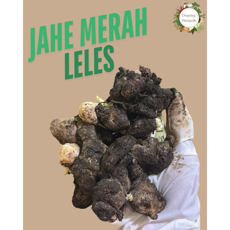 

Jahe Merah Leles 500gr / 1kg