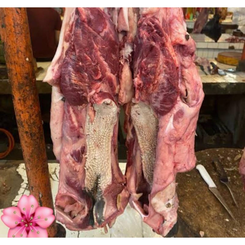 

DAGING KEPALA SAPI 1KG BARU POTONG