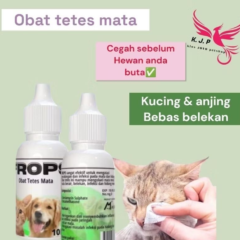 Obat tetes mata kucing anjing untuk mata berair infeksi parasit & belekan