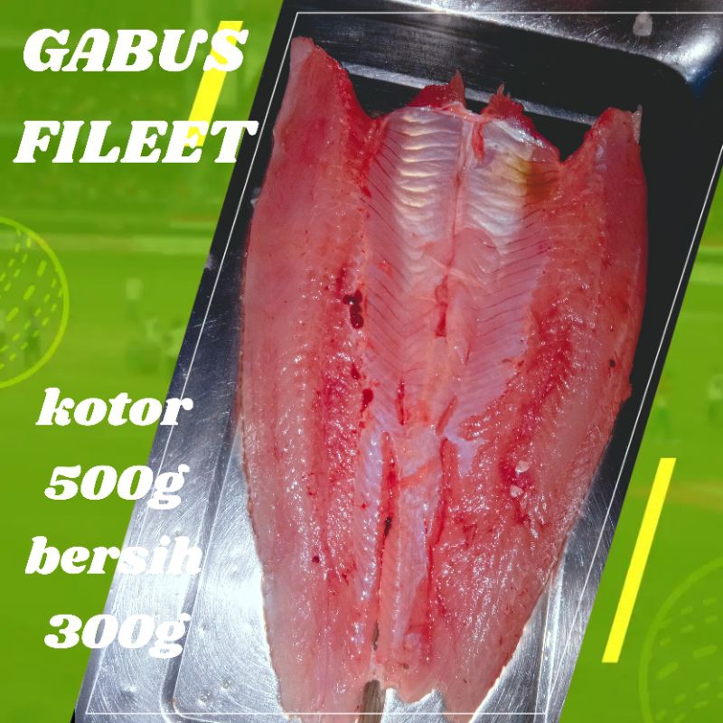 

IKAN GABUS FILLET