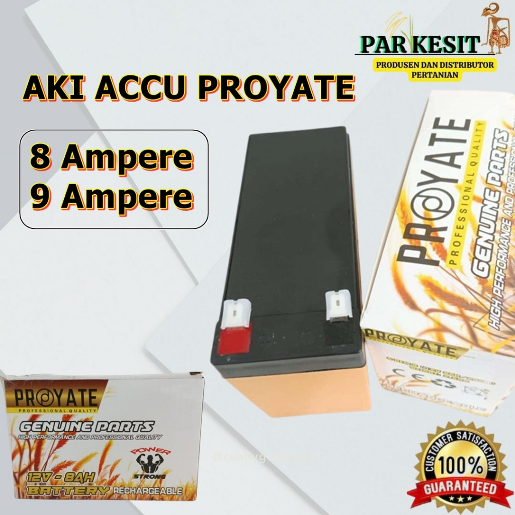 Aki Sprayer Accu Sprayer Elektrik Proyate 8Ah dan 9Ah