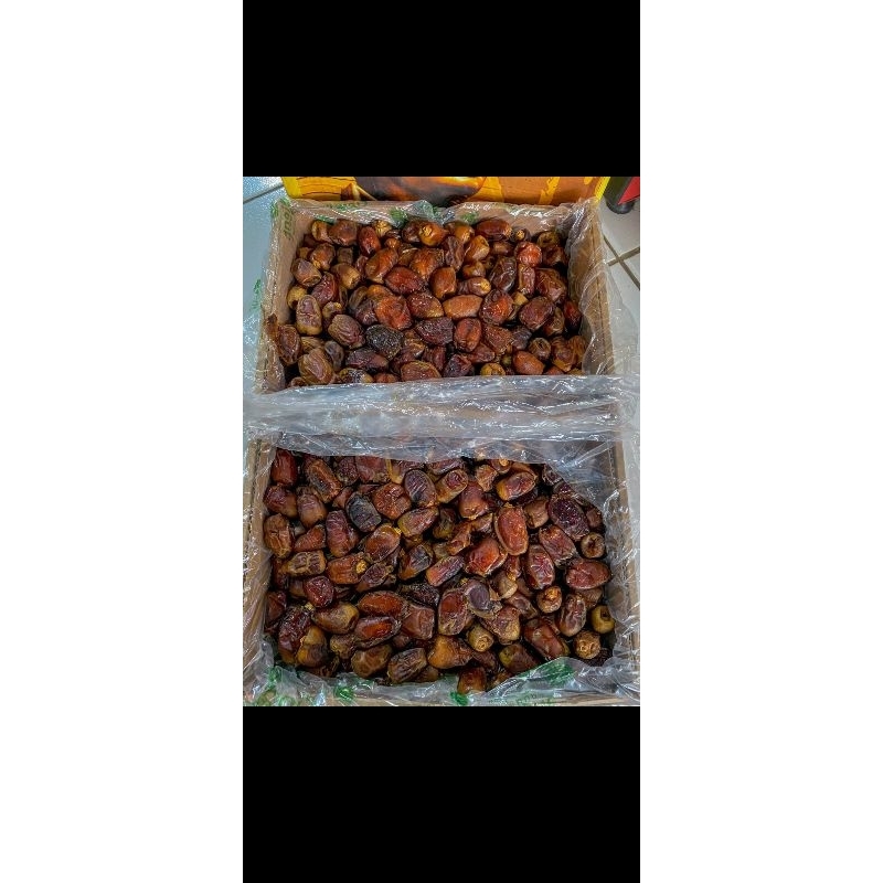 

kurma Golden valley