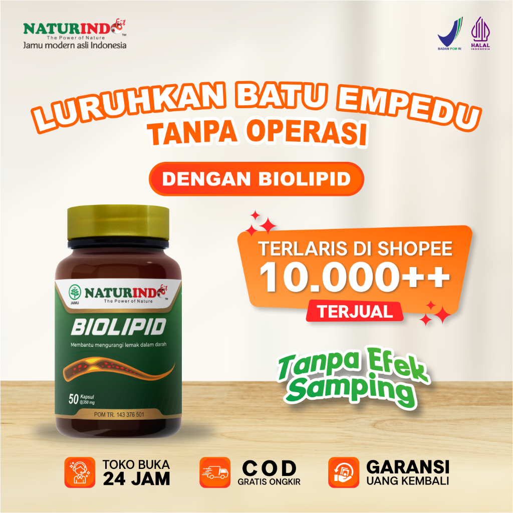 Obat Batu Empedu Paling Ampuh Herbal Batu Empedu Biolipid Naturindo