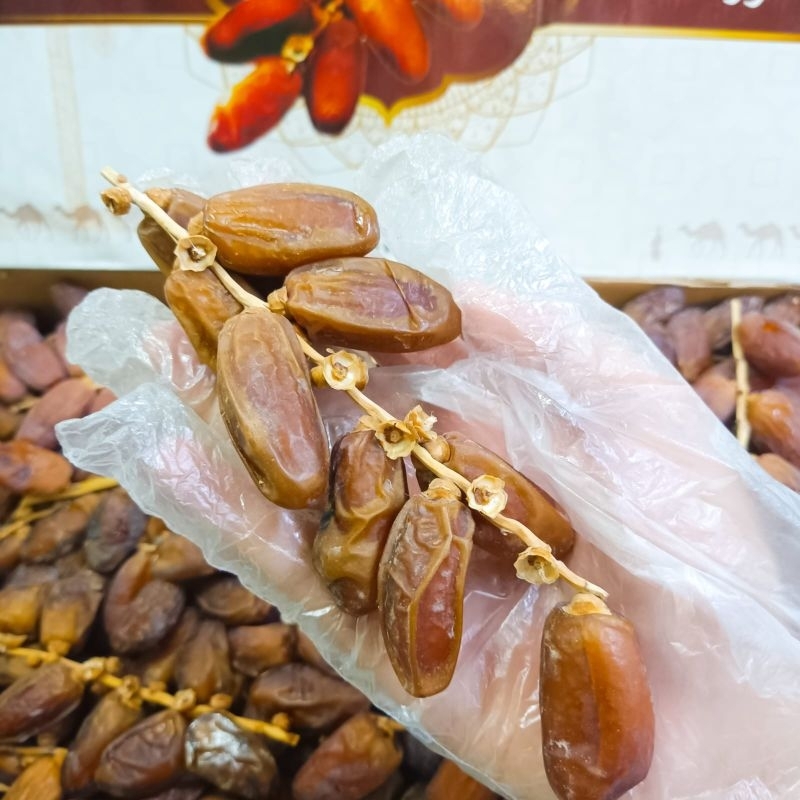 

Kurma Tunisia Tangkai MZ 5kg