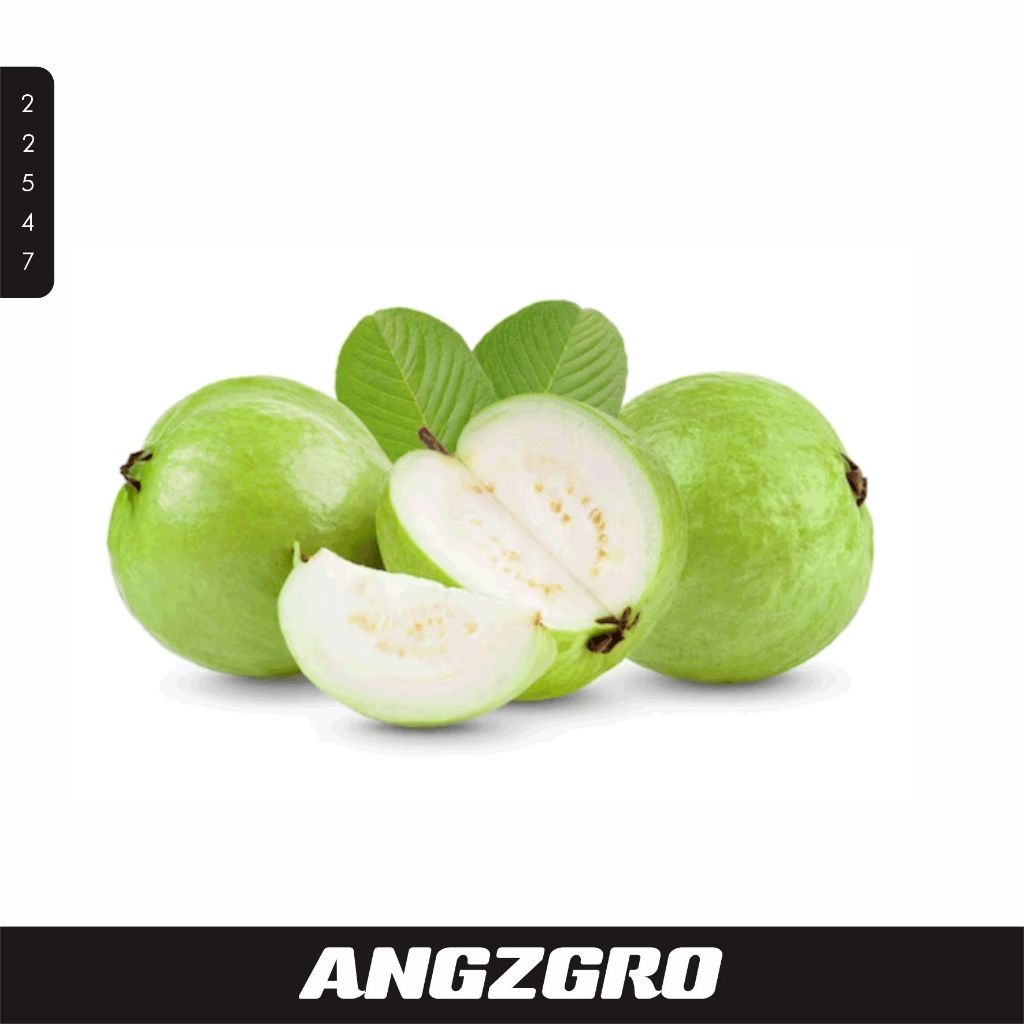 

Jambu Kristal 100 GR