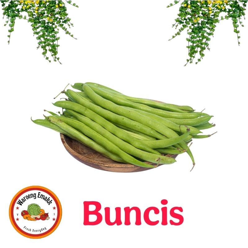 

BUNCIS