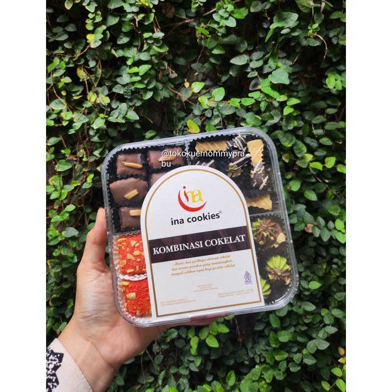 

Kombinasi Coklat Ina Cookies