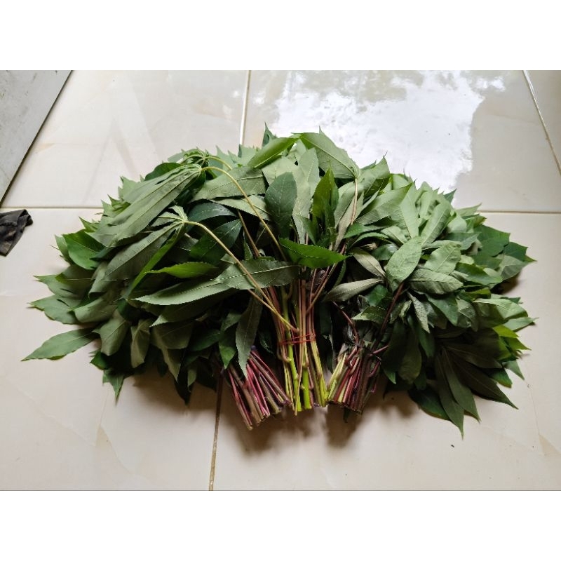 

400gr sayuran daun singkong segara
