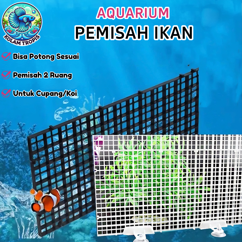Pemisah Akuarium Plastik Sekat Toples Cupang DOP SEKAT KACA DOUBLE Tempel Bisa Dipotong Disusun