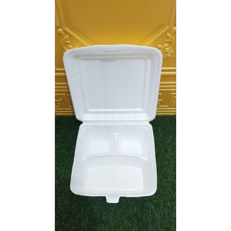 Styrofoam Nasi Sekat 3