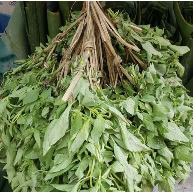 

kemangi/daun kemangi per pack