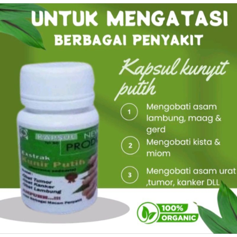 

TEMU PUTIH BUBUK KAPSUL TEMU PUTIH KUNIR PUTIH KUNYIT PUYIH IBAT LAMBUNG MAGH GERD JAMU HERBAL TRADISIONAL ALAMI 100% ASLI PREMIUM ORIGINAL