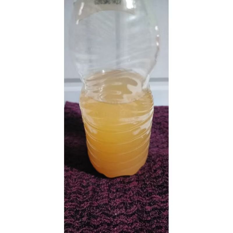 stater kit karbol wangi eco enzyme