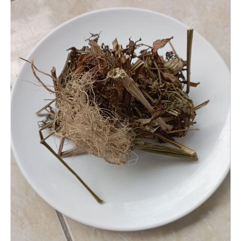 

ciplukan kering/50g