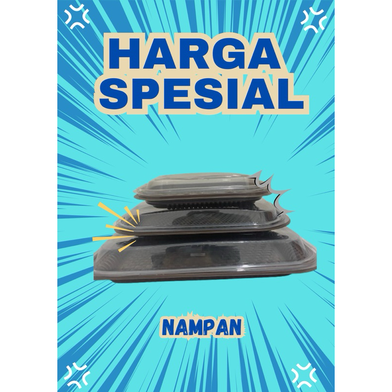 NAMPAN MIKA BAKI HANTARAN PLASTIK