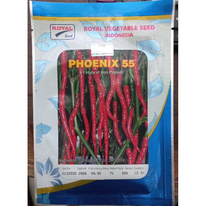 Benih Cabai kriting PHOENIX F1 10 Gram Royal Seed