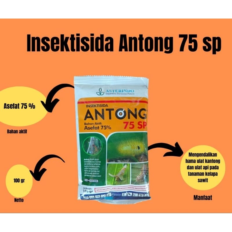 INSEKTISIDA ANTONG ASEFAT 75 SP 100 GRAM