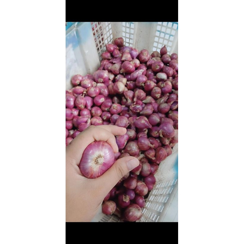 

bawang merah probolinggo super berat 1/2kg