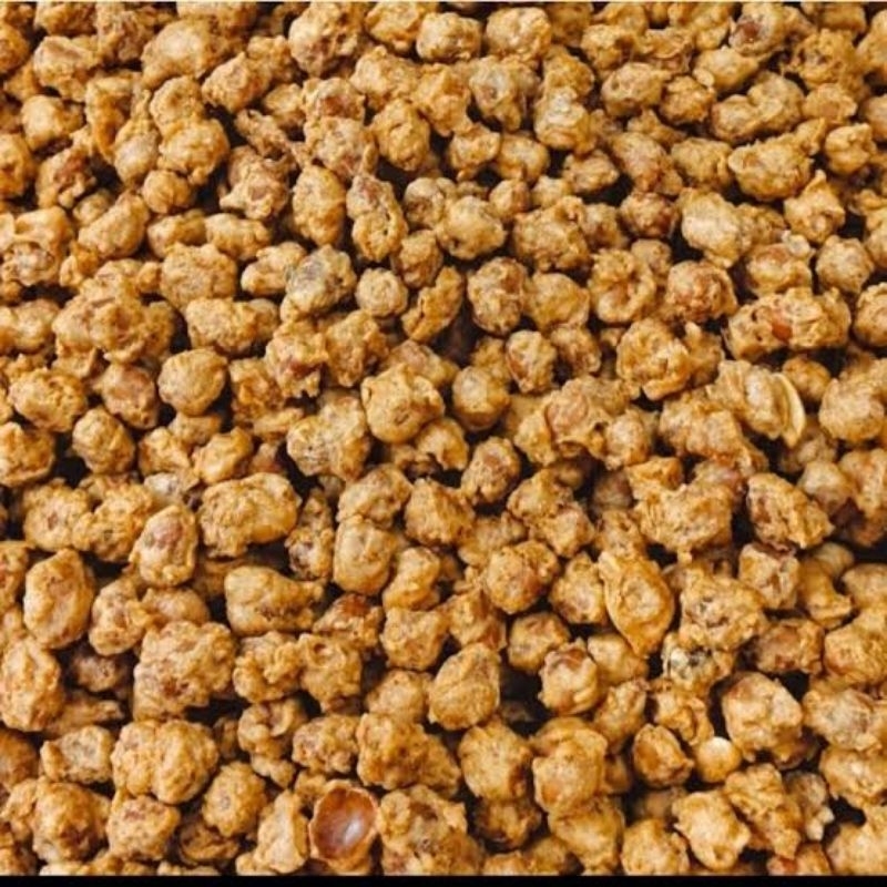 

Kacang Talua / Kacang Telur / Kacang Premium