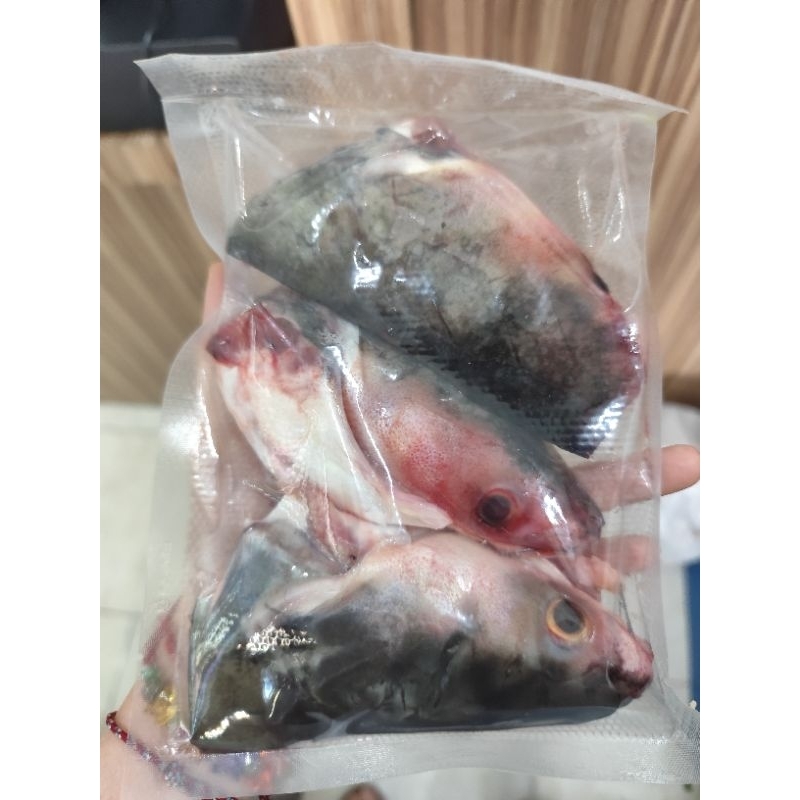 

Kepala Patin