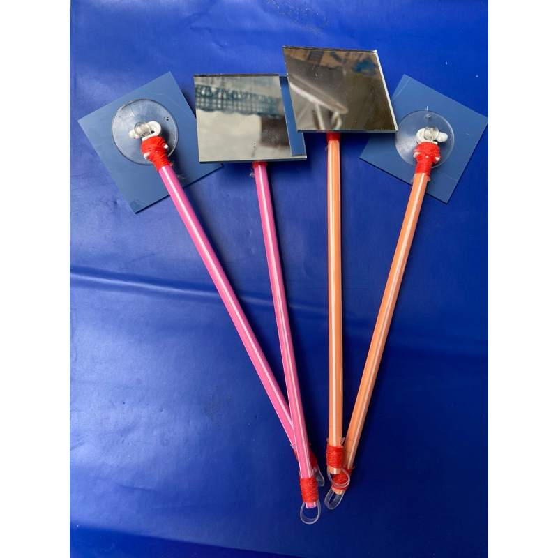 kaca stik cermin stik mental ikan chana cupang dll