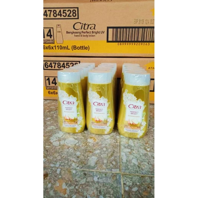 Handbody Citra bengkoang 110ml