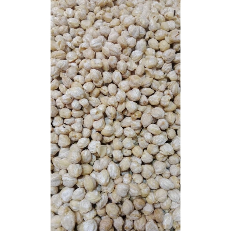 

Kemiri bulat & kering (/ 1kg)