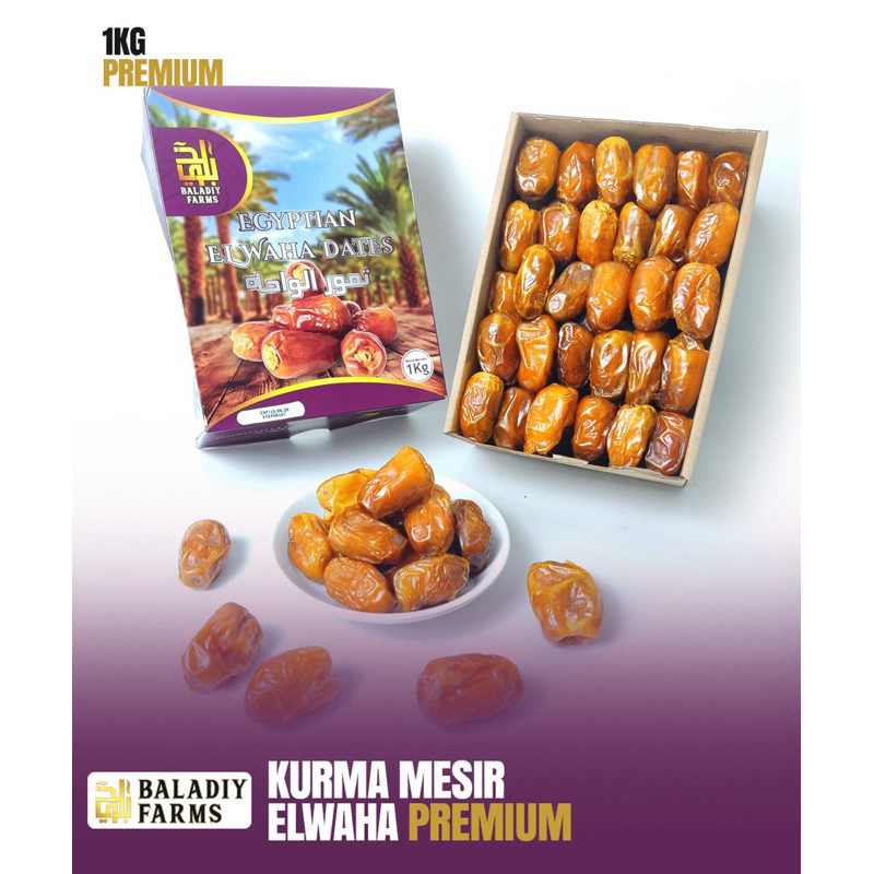 

Kurma Elwaha Kurma Mesir Premium